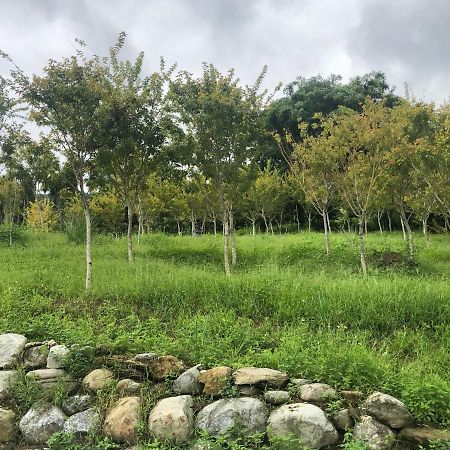 Sunrise Forest Fenglin Ngoại thất bức ảnh