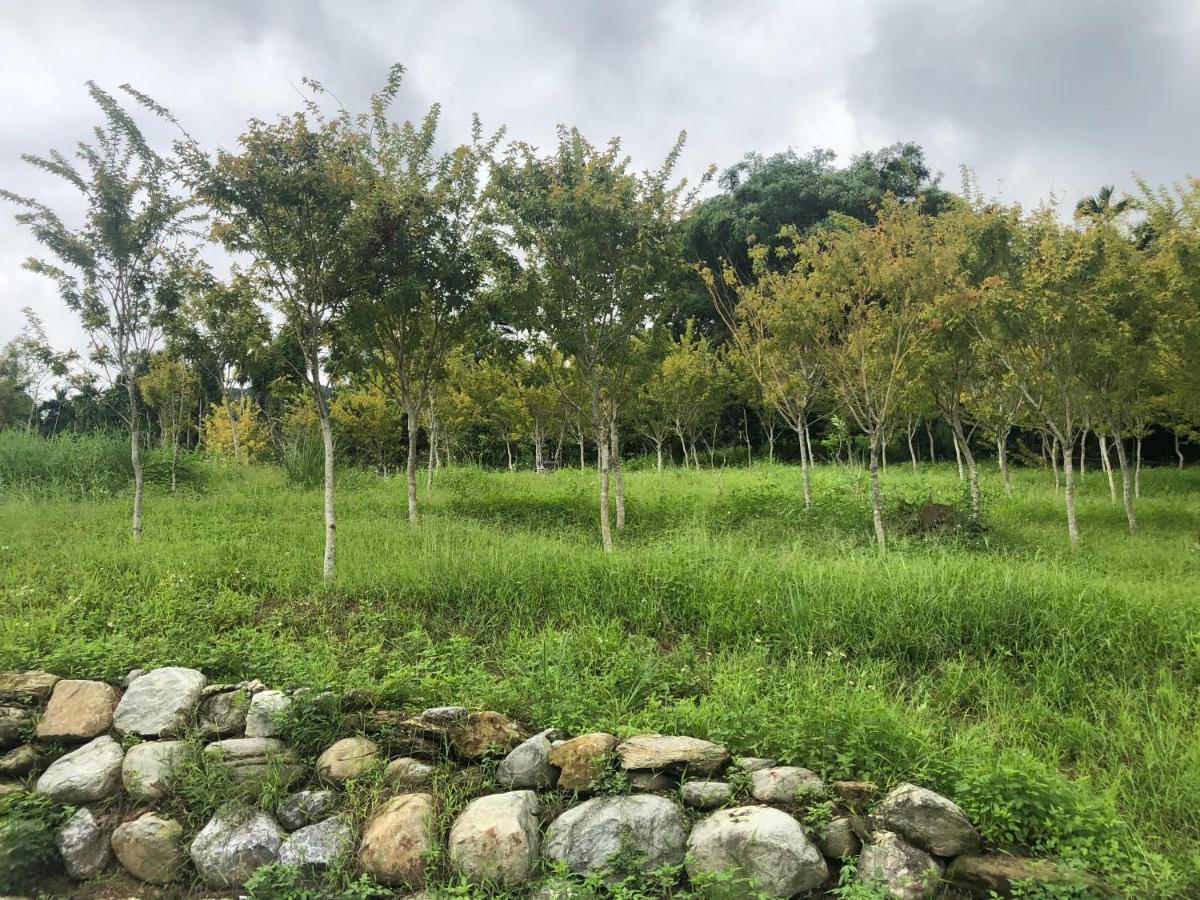 Sunrise Forest Fenglin Ngoại thất bức ảnh